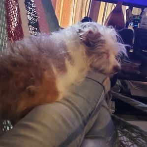 Meet your Posher, Cruz